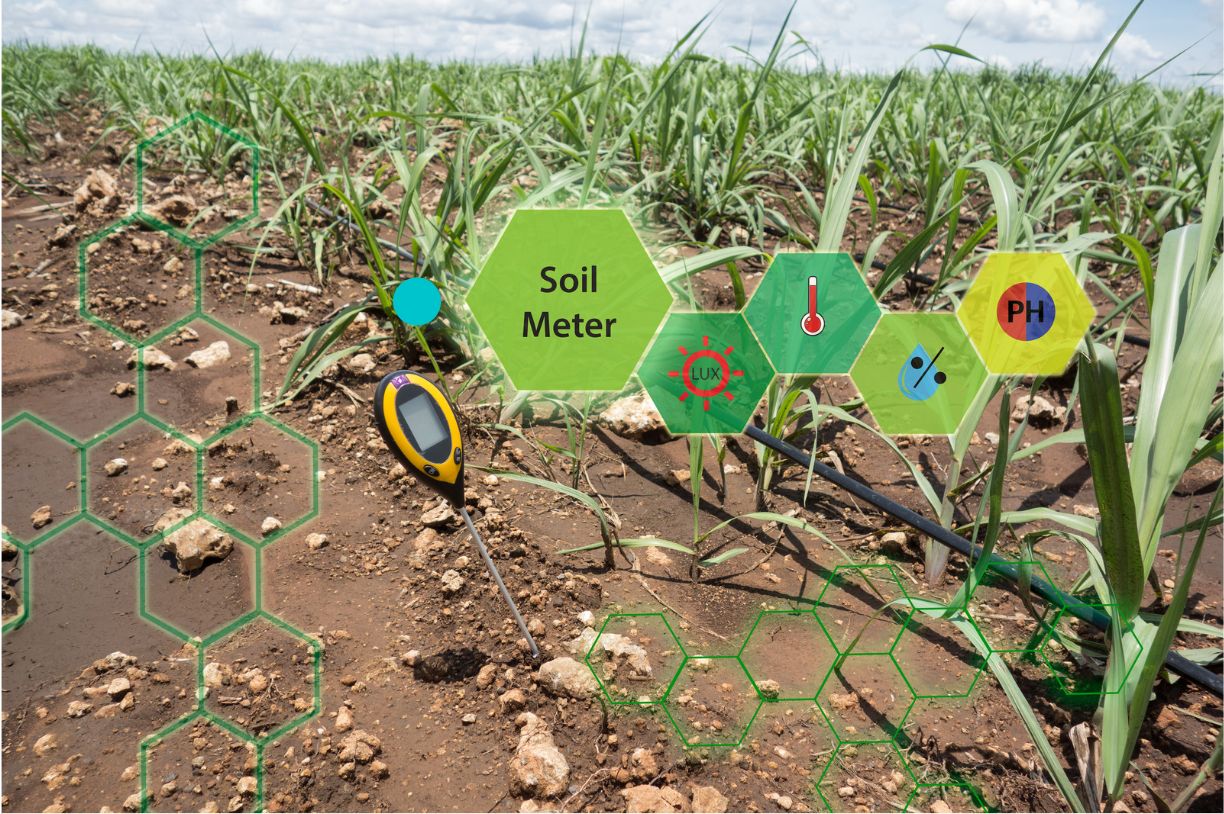 Soluciones de agricultura de instalaciones digitales